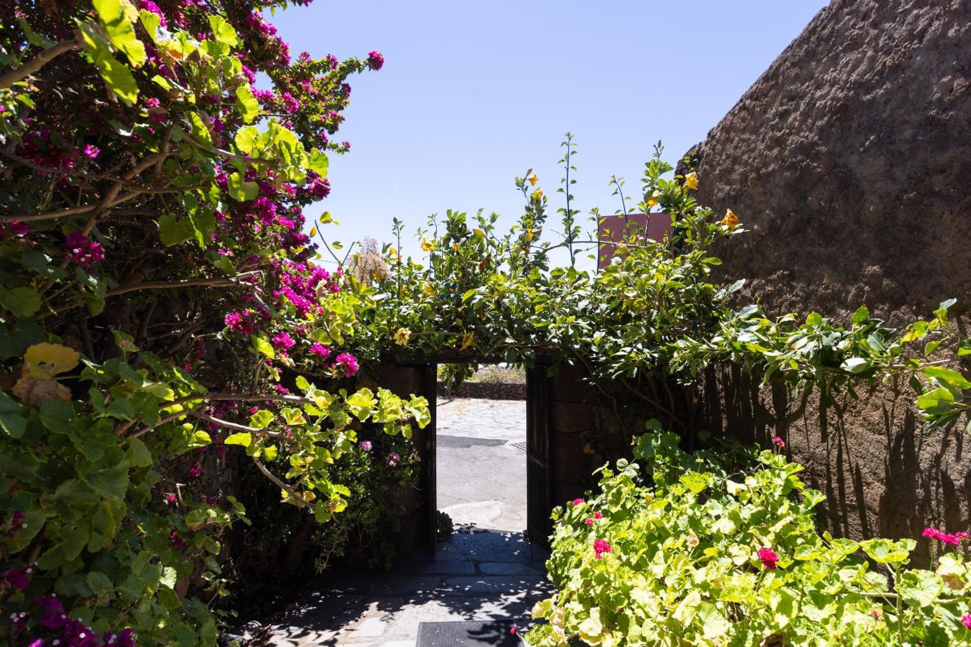 Charming Rustic House El Pinar & Wifi ξενώνας Εξωτερικό φωτογραφία